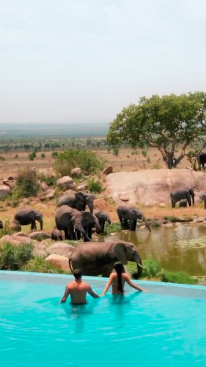 Deux personnes se tenant par la main dans une piscine à débordement surplombant un troupeau d'éléphants près d'un point d'eau, dans un paysage naturel.